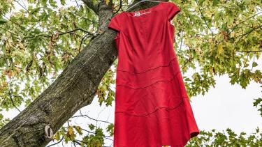 A short-sleeved red dress hanging on hanger in an oak tree