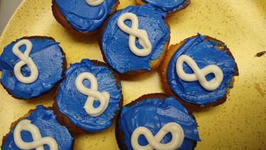 metis flag cupcakes