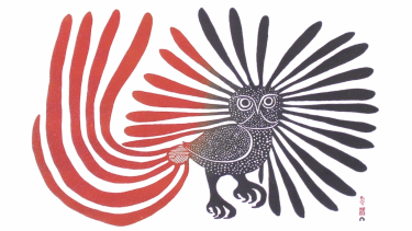 kenoujak ashevak owl