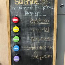 local nations languages